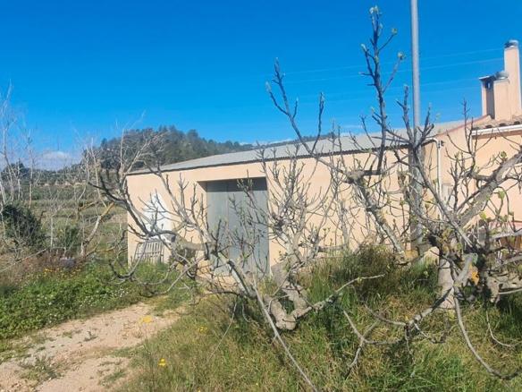 Rustic property for sale in Benifallet