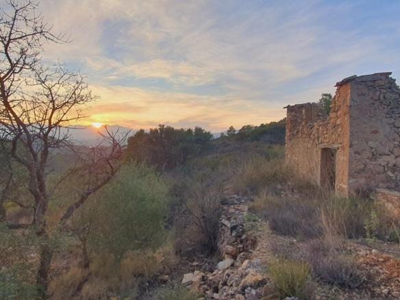 House or chalet for sale in Carrer de la Carretera, 5, El Pinell de Brai
