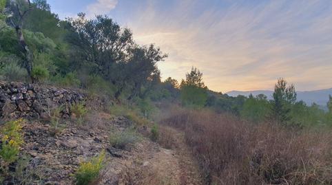 House or chalet for sale in Carrer de la Carretera, 5, El Pinell de Brai