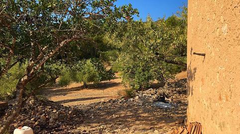 Rustic property for sale in Xerta