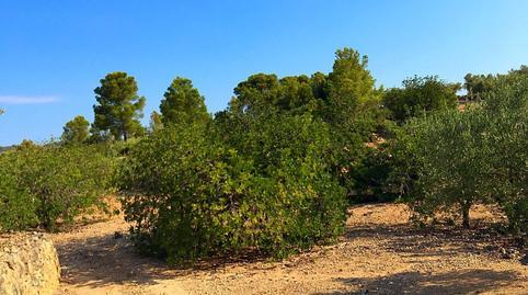 Rustic property for sale in Xerta