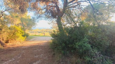 House or villa for sale in Móra d’Ebre