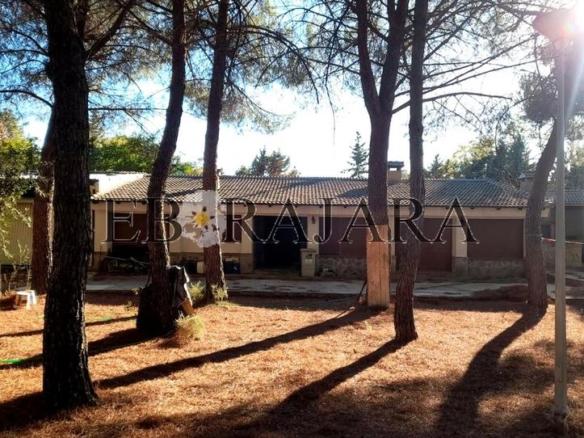 House or villa for sale in Isla Cristina, San Román de los Montes