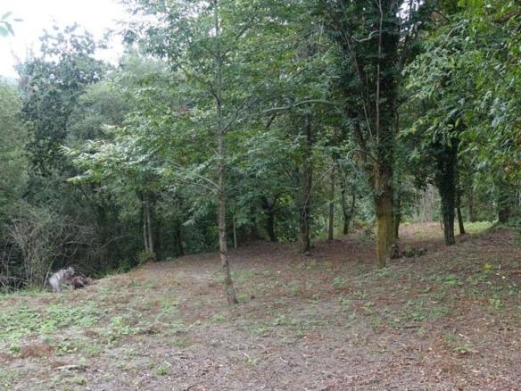 Rustic property for sale in Gondomar