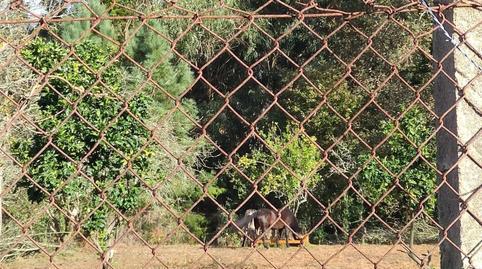 Rustic property for sale in Gondomar