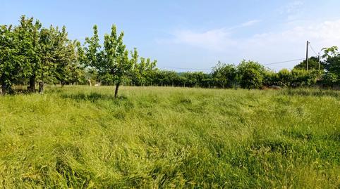 Rustic property for sale in Lugar Quintairo-pq Vilelos (pq, O Saviñao