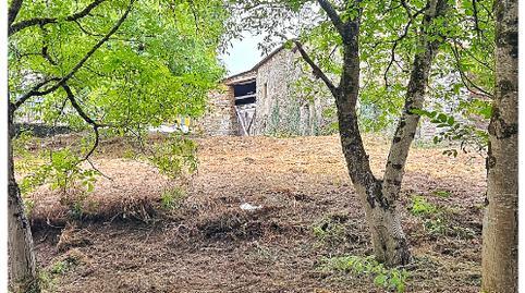 House or chalet for sale on Avenida Camilo José Cela, 6, Triacastela