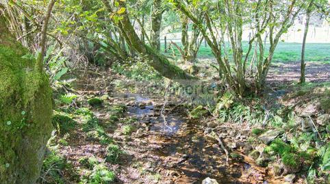 Rustic property for sale in O Sumeiro, O Burgo, Muras