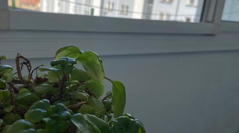 Apartment for sale in Griseras – Gardachales