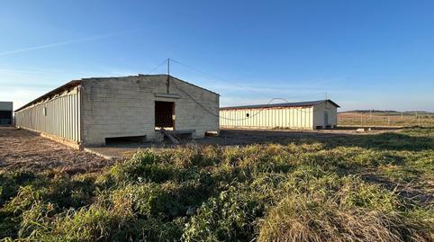 Industrial land for sale in Caparroso