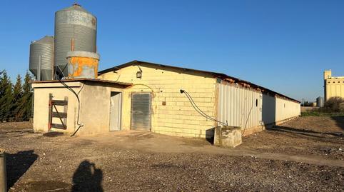 Industrial land for sale in Caparroso