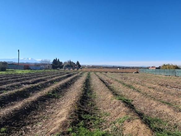 Residential property for sale in Paraje Mosquera, Azucarera