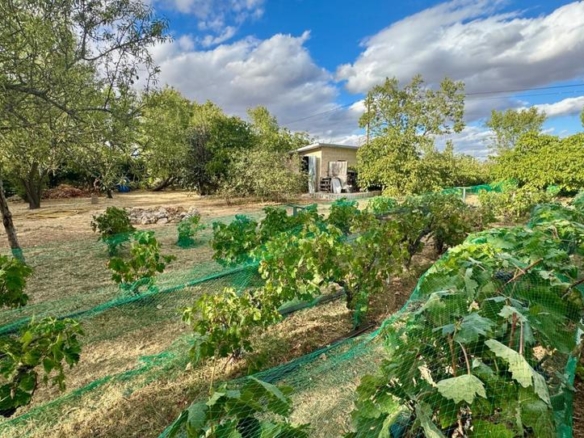 Residential property for sale in Grijota – Urbanización el Hito, Grijota