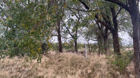 Land for sale in Garrapinillos