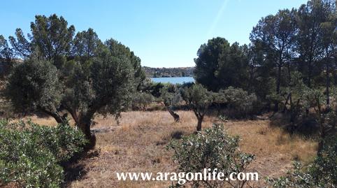 Rustic property for sale in Calle Monjas, Caspe