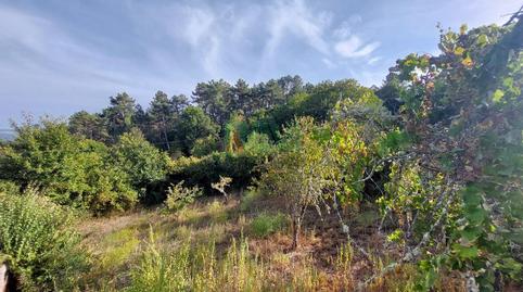 House or chalet for sale in Punxín
