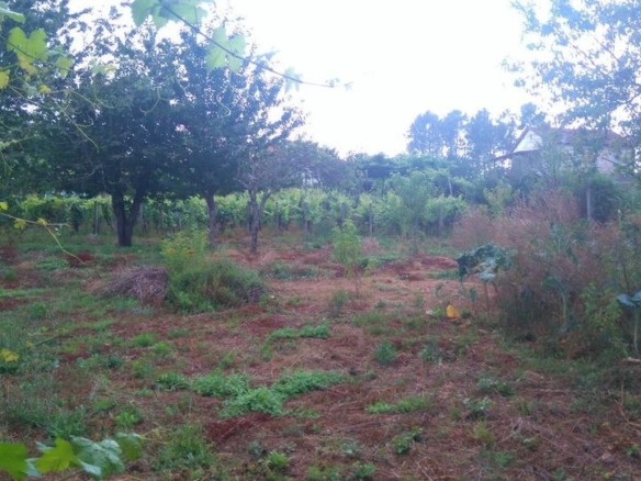 Residential for sale in O Carballiño