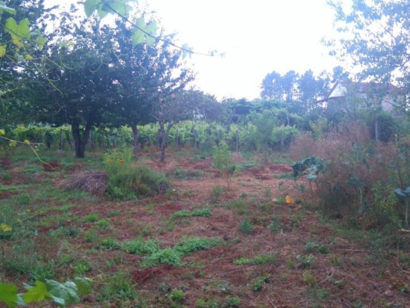 Residential for sale in O Carballiño