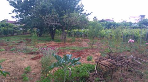 Residential for sale in O Carballiño