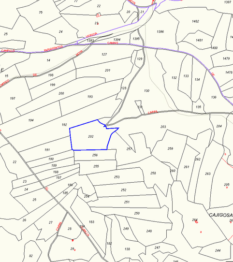 Land for sale in Calle Arriba, Moya (Cuenca)