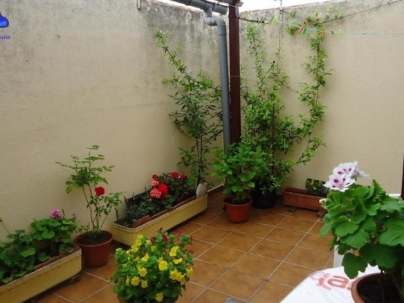 House or villa for sale in De Luis Anaya, Pizarrales