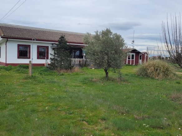 House or villa for sale in Pelabravo