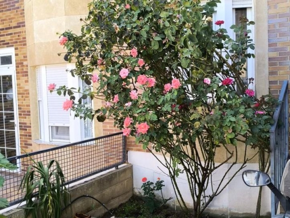 House or villa for sale in Cervantes, Carrascal de Barregas